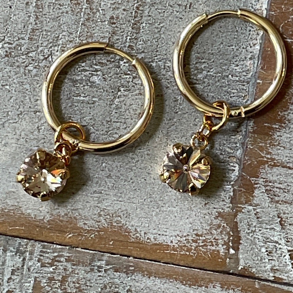 NEW Endless Hoop Austrian Crystal dangle